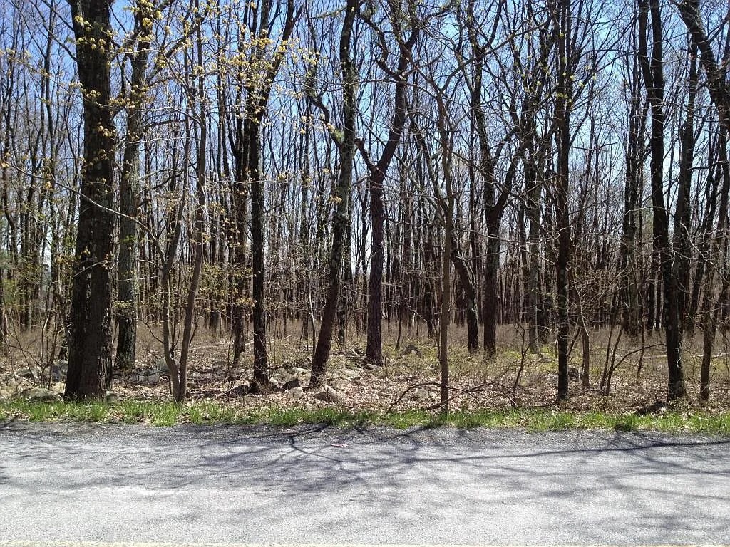 Catskill Drive Property Photo 1
