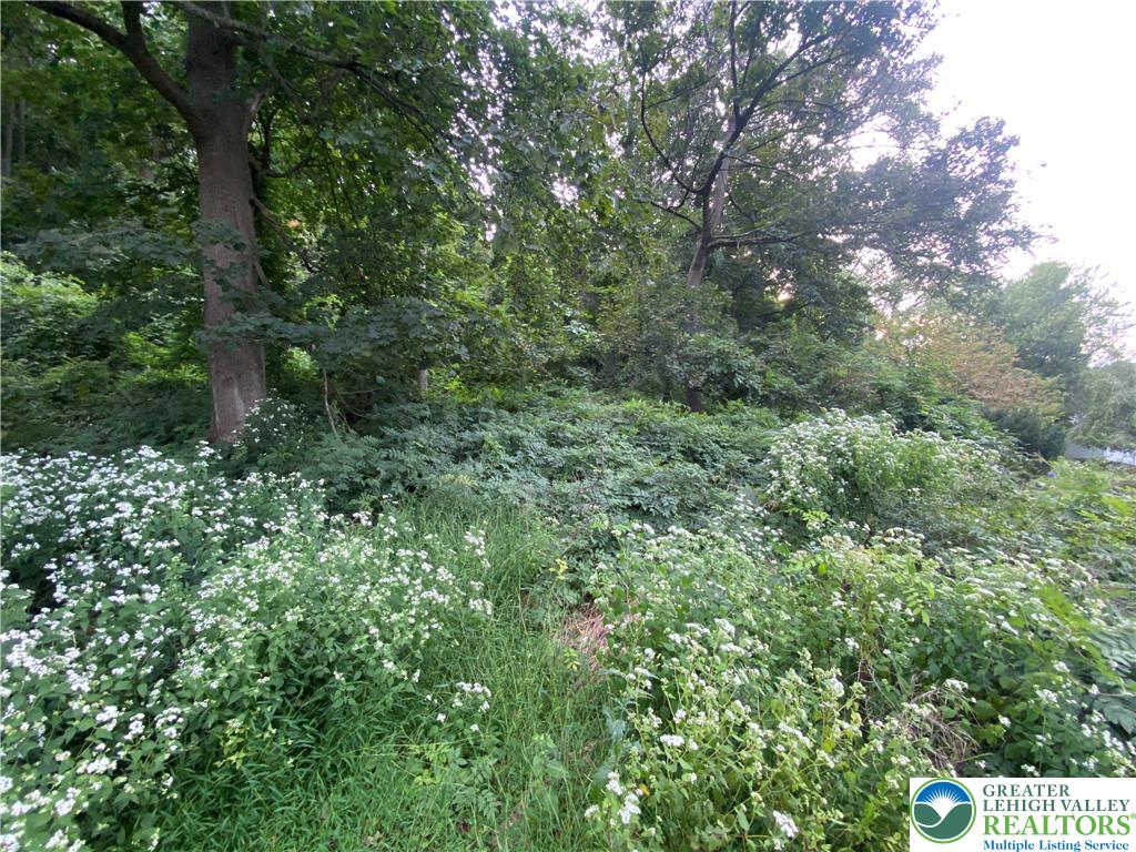 811 Forrest Street Property Photo 1