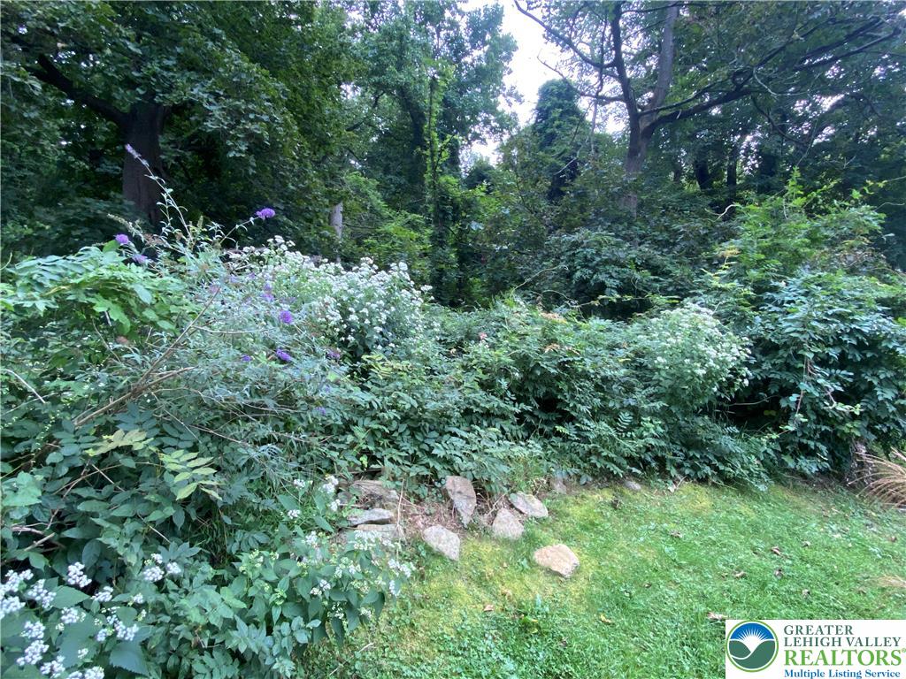 811 Forrest Street Property Photo 5