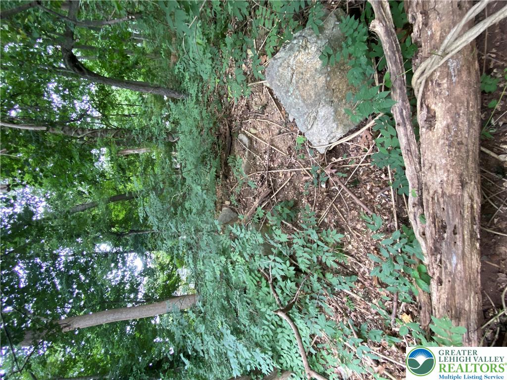 811 Forrest Street Property Photo 6