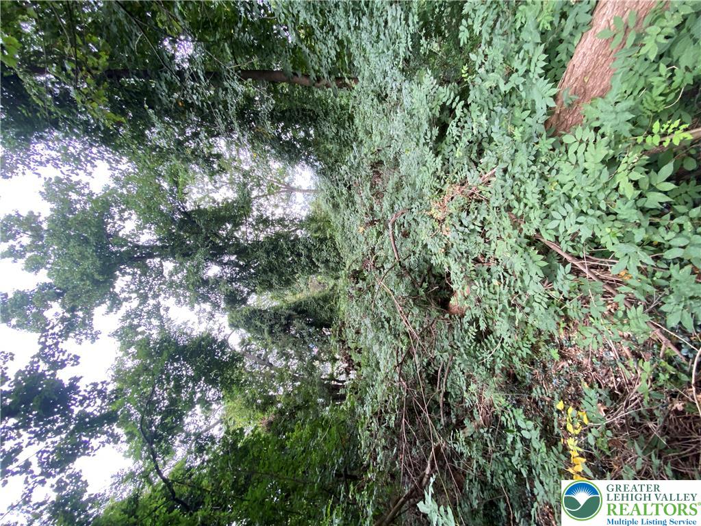 811 Forrest Street Property Photo 7