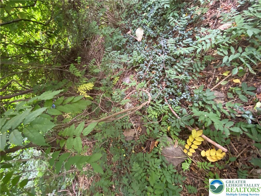 811 Forrest Street Property Photo 9