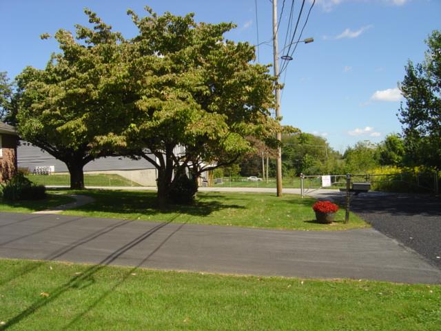 7725 Lime Property Photo 3