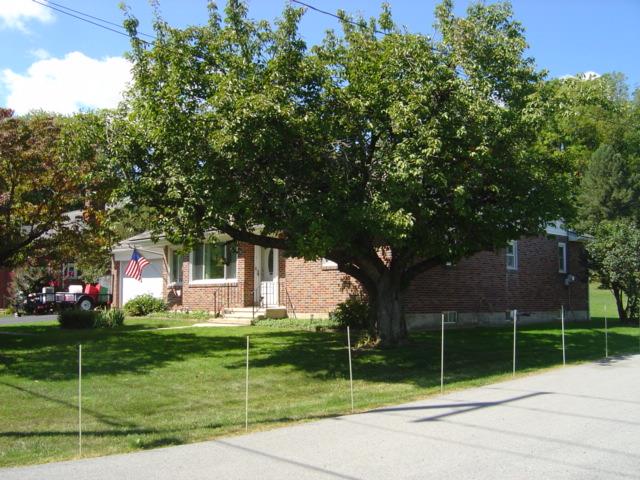 7725 Lime Property Photo 7