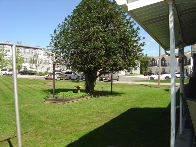 7725 Lime Property Photo 18