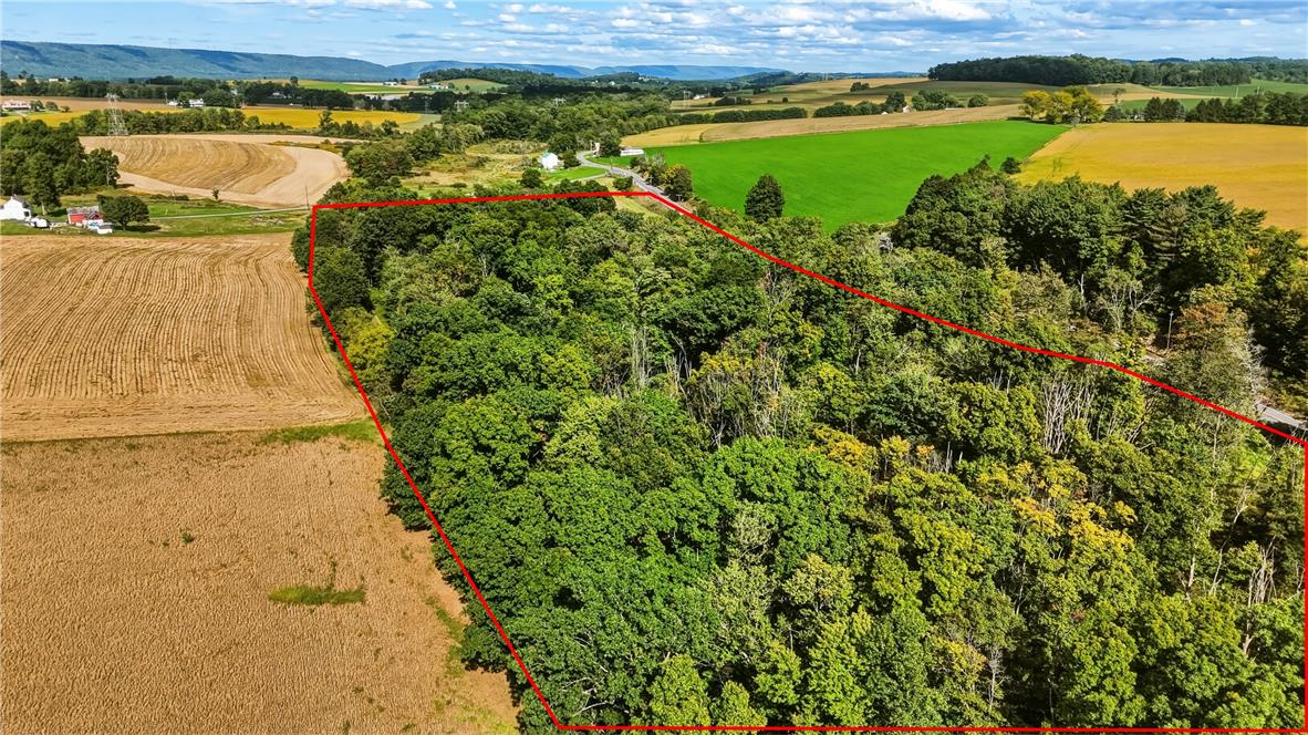 7175 Bake Oven Road Property Photo 39