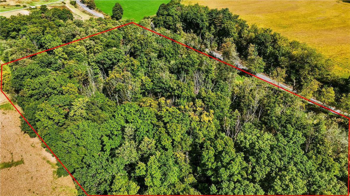 7175 Bake Oven Road Property Photo 40