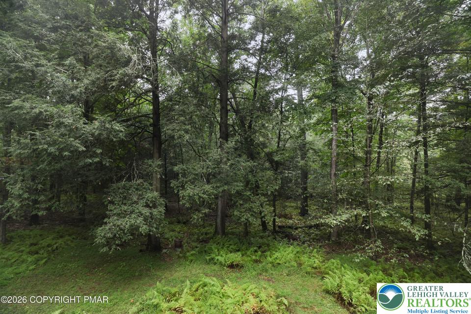 135 Sportsmen Drive Property Photo 23