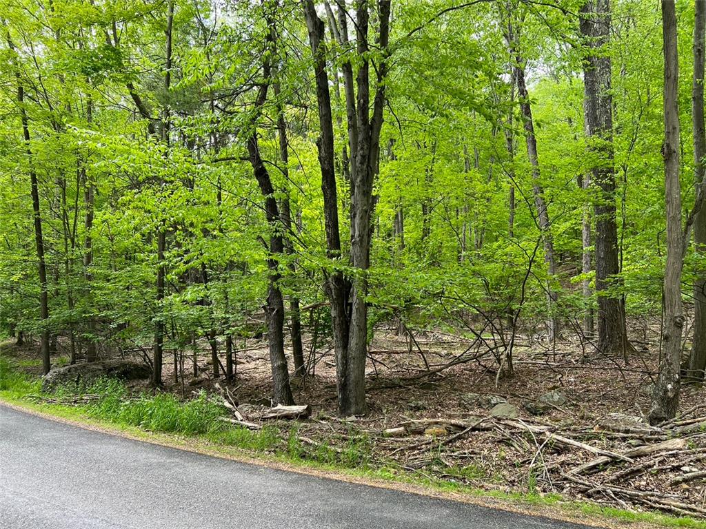 589 Tamarack Lane Property Photo 1