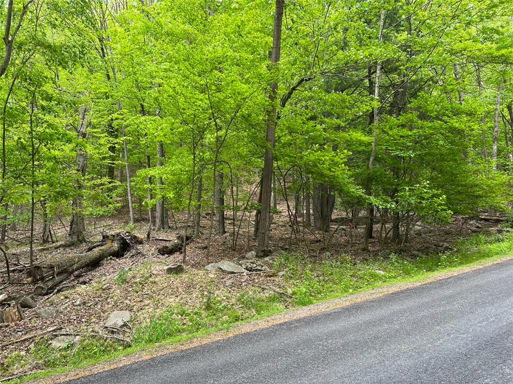 589 Tamarack Lane Property Photo 2