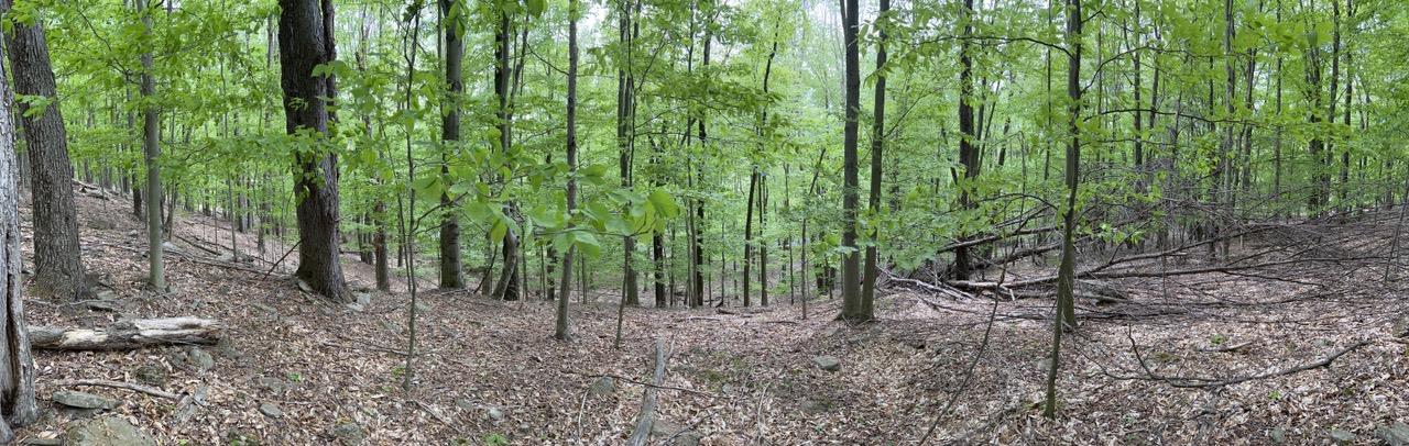 589 Tamarack Lane Property Photo 5