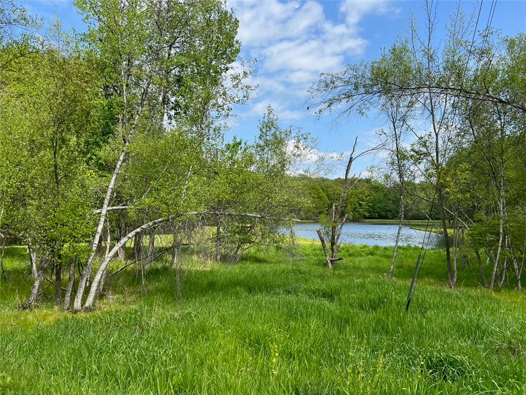 589 Tamarack Lane Property Photo 11