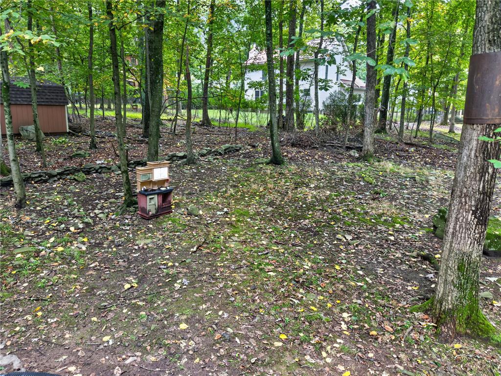 110 Hyland Drive Property Photo 33