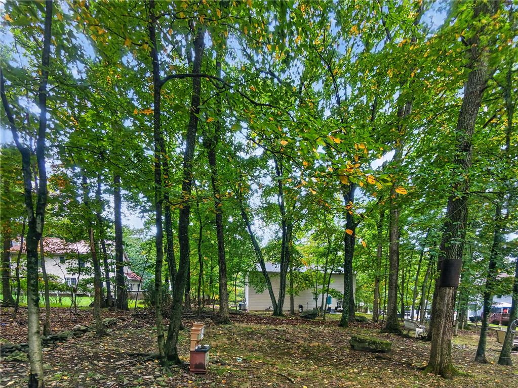 110 Hyland Drive Property Photo 38