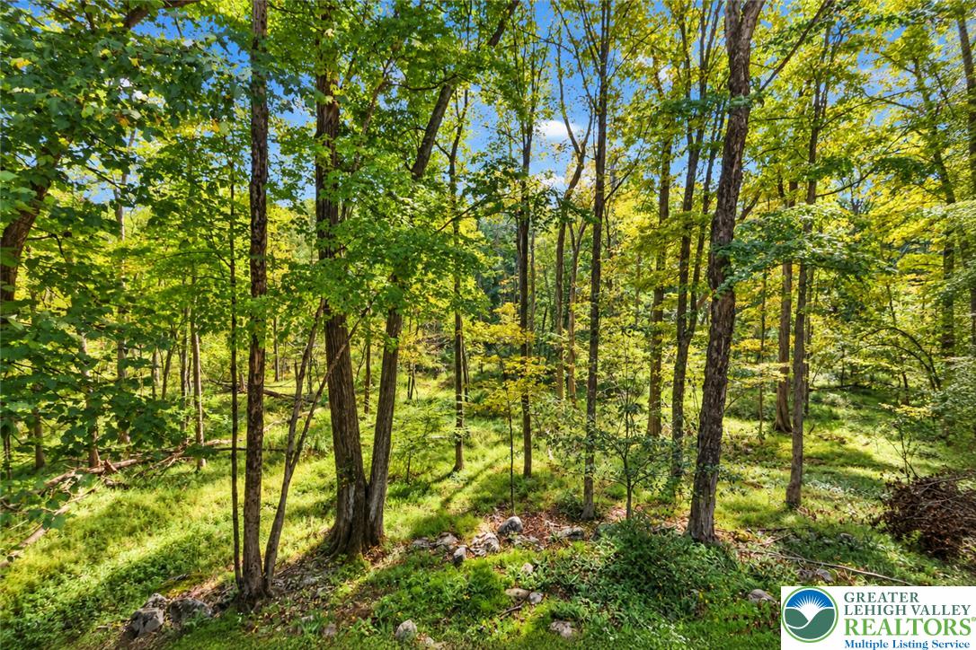 105 Mulberry Lane Property Photo 49