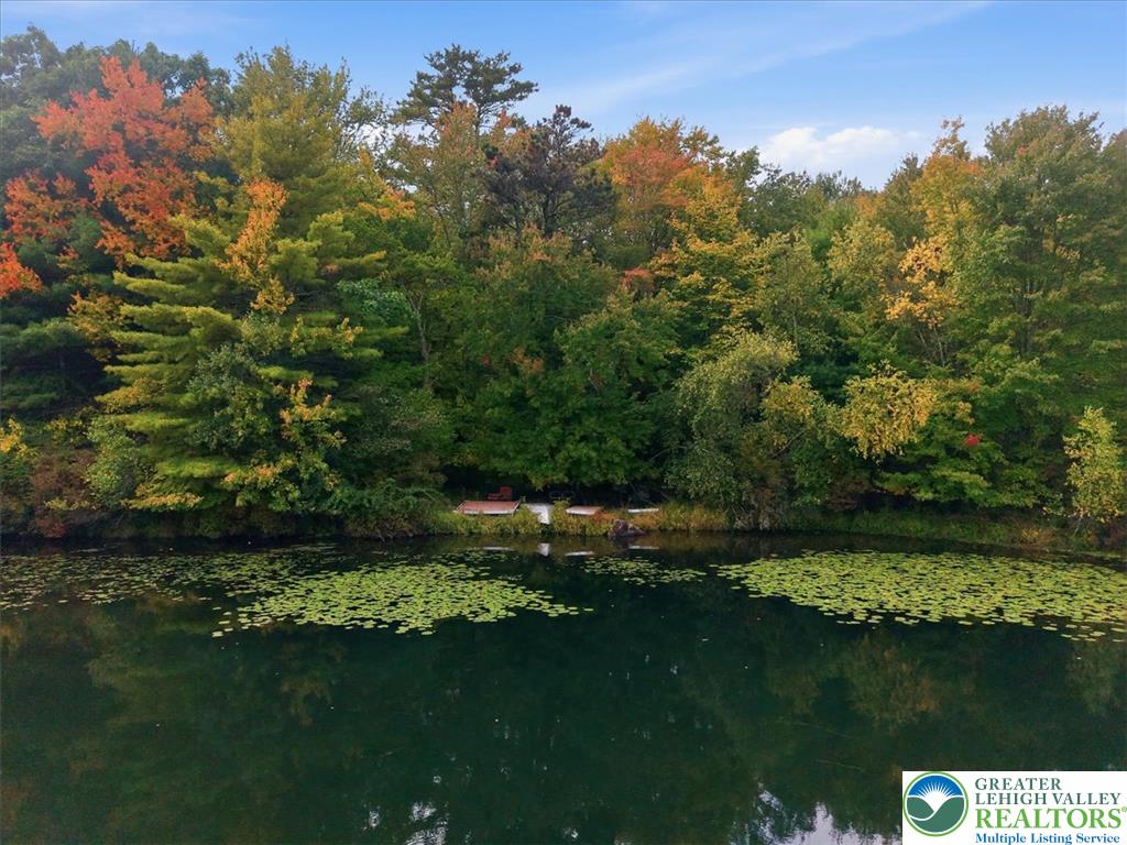 805 Blackbirch Court Property Photo 40