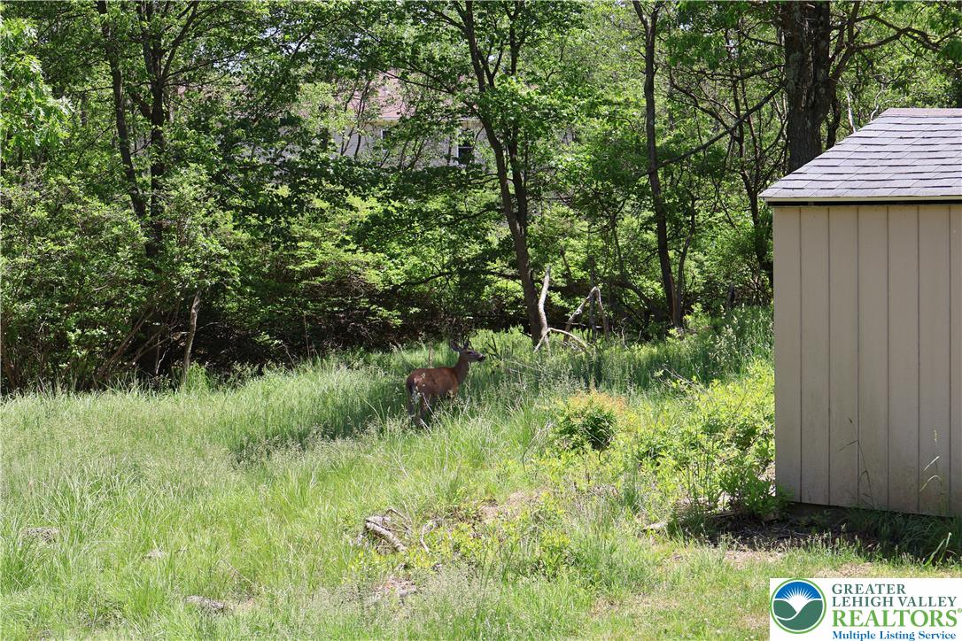1646 Clover Road Property Photo 19
