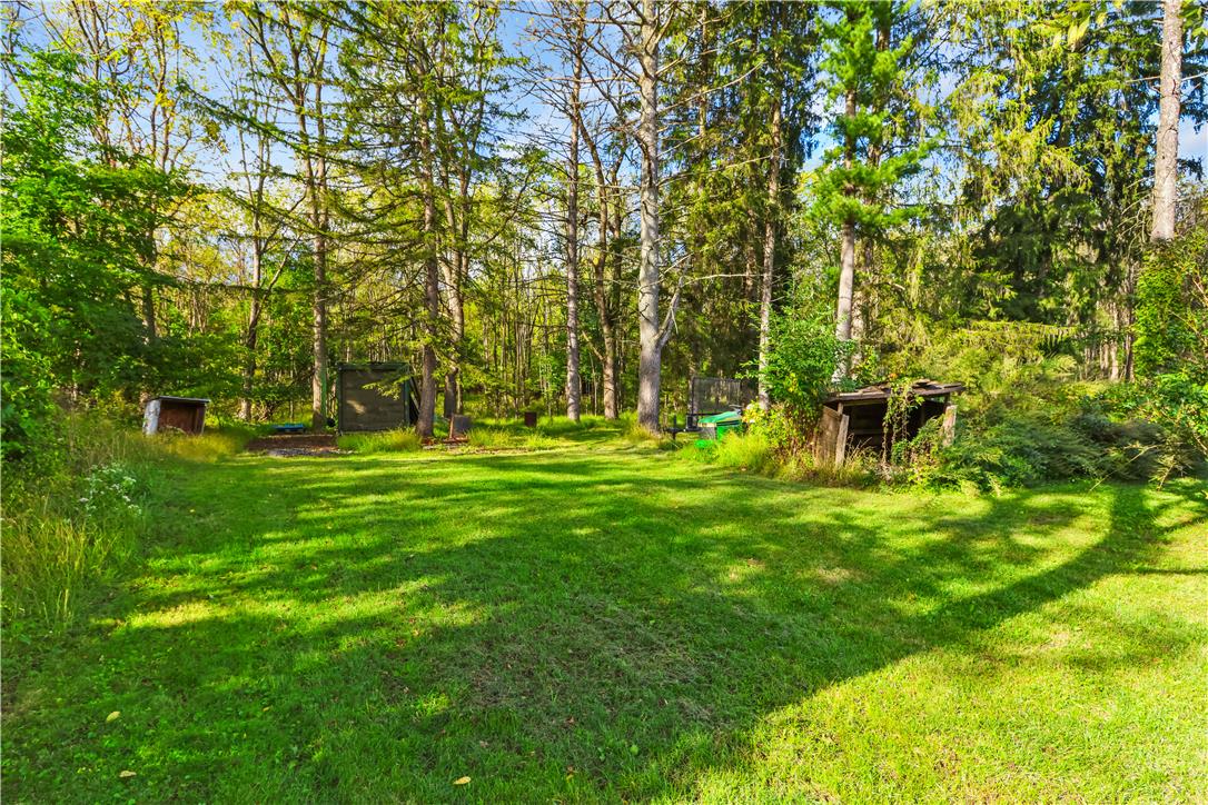 2232 Whitehead Road Property Photo 24