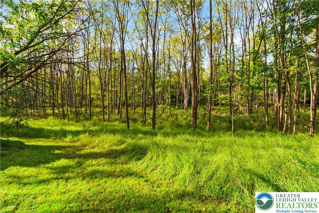 2232 Whitehead Road Property Photo 25