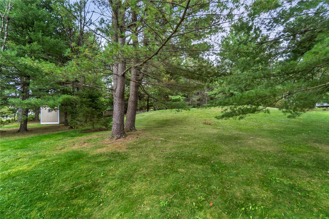 1725 Forest Street Property Photo 6