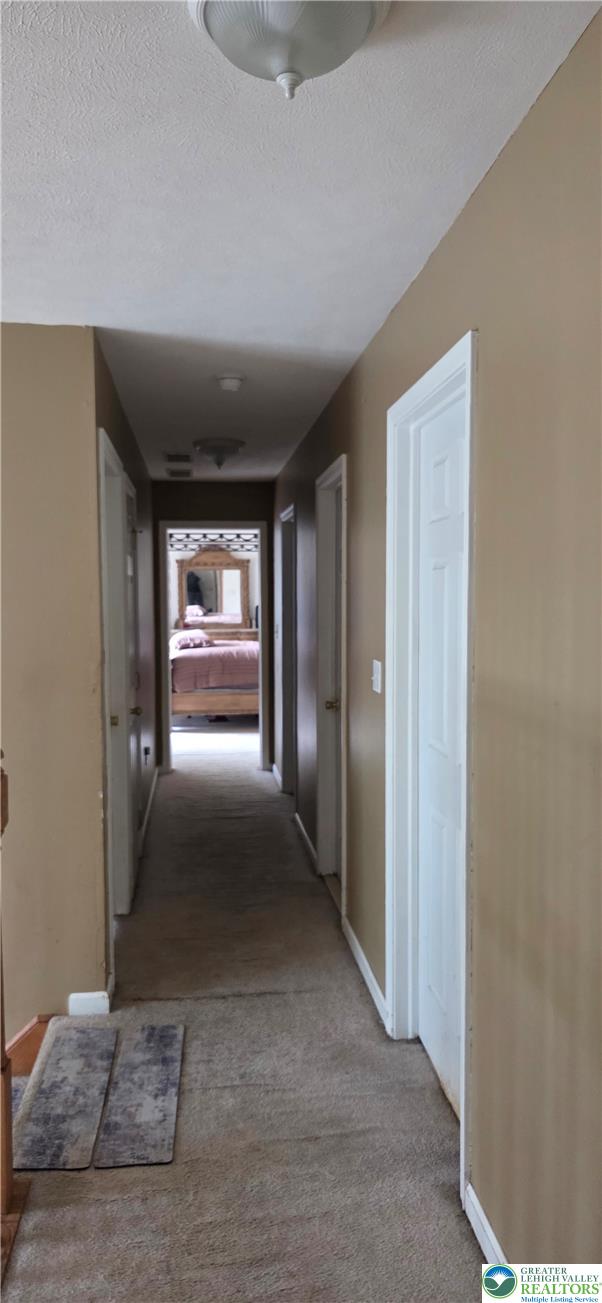 129 Petrarch Trail Property Photo 26