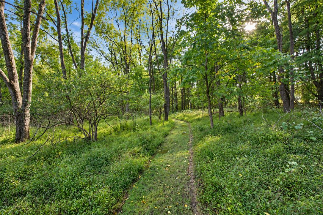 43 Mine Road Property Photo 70