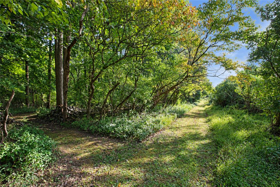 43 Mine Road Property Photo 72