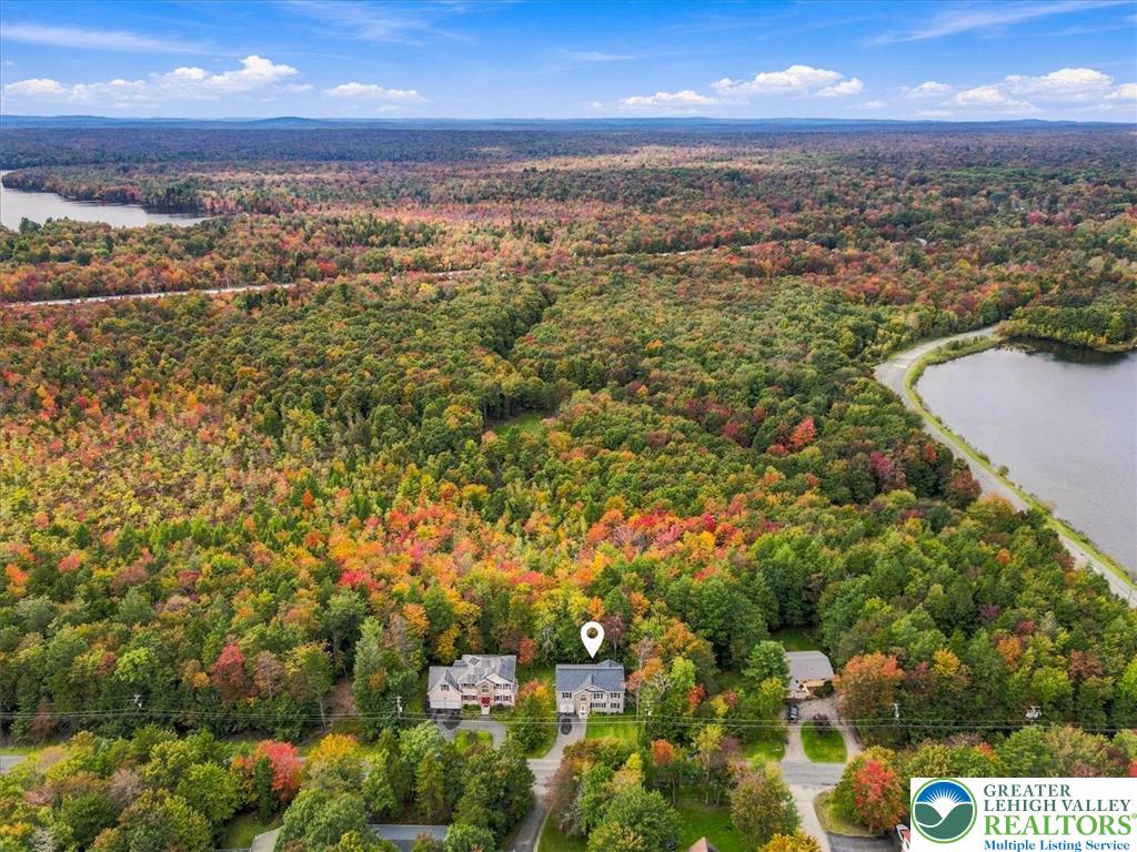425 Scotch Pine Drive Property Photo 7