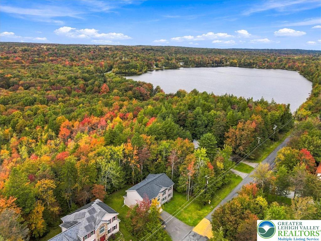425 Scotch Pine Drive Property Photo 8
