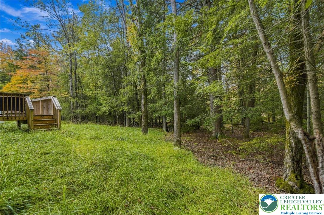 425 Scotch Pine Drive Property Photo 48