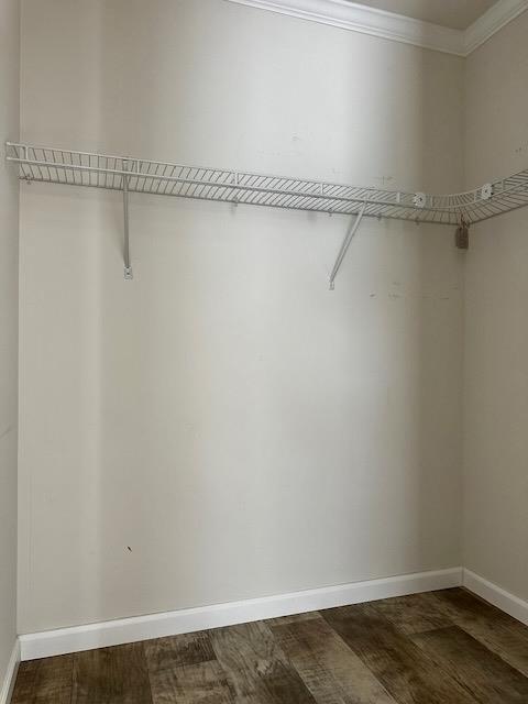 7434 Marquis Drive Property Photo 21