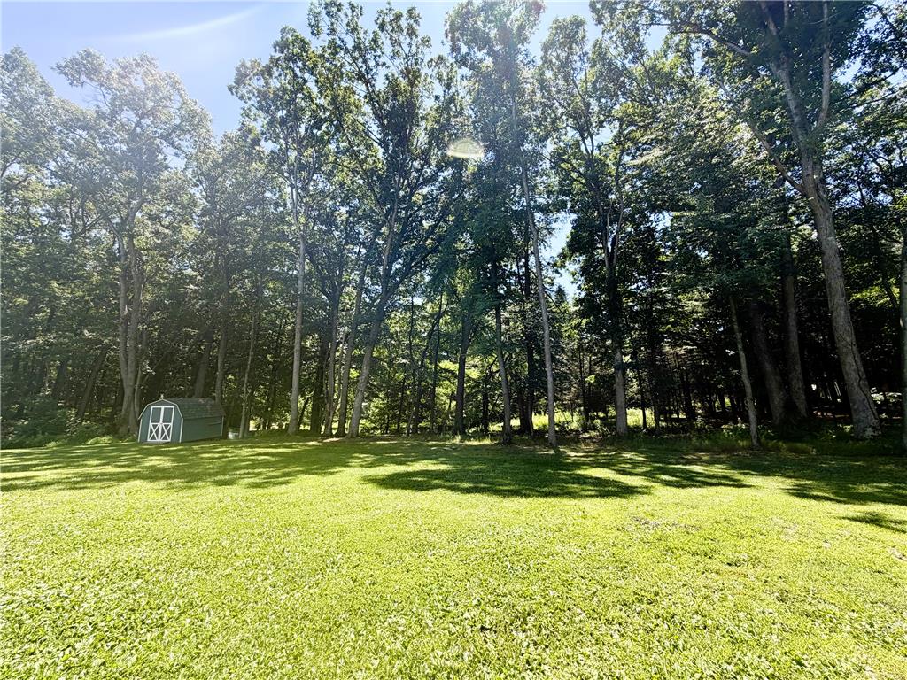 58 White Birch Lane Property Photo 38