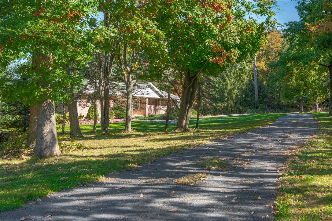 9297 Claussville Road Property Photo 40