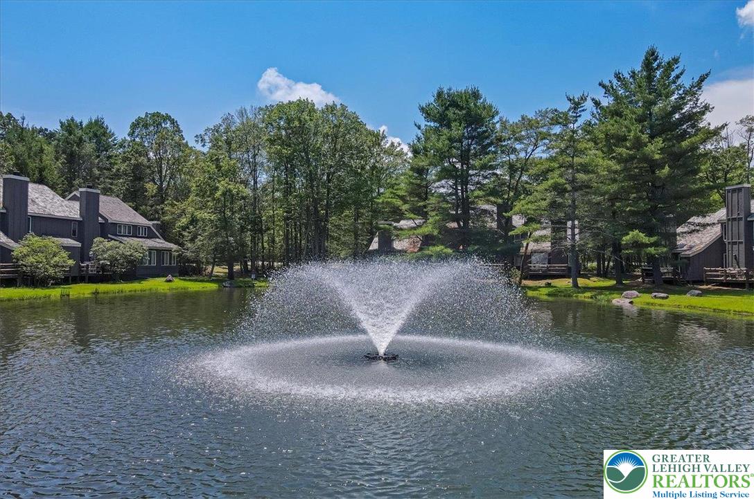 214 Snow Ridge Circle Property Photo 47