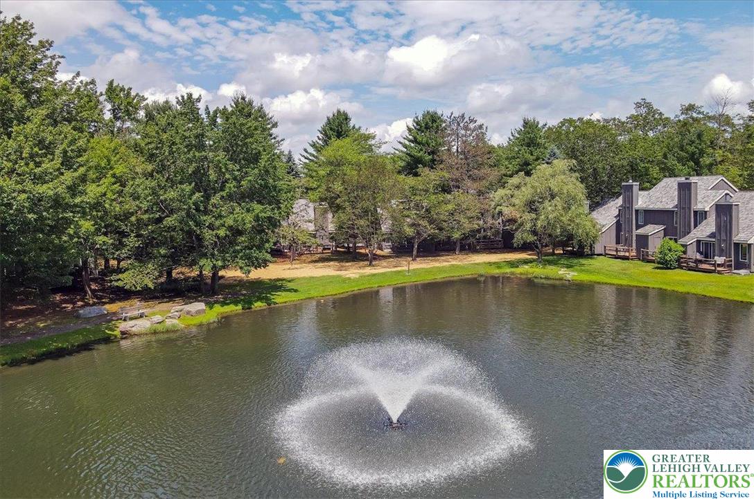 214 Snow Ridge Circle Property Photo 48