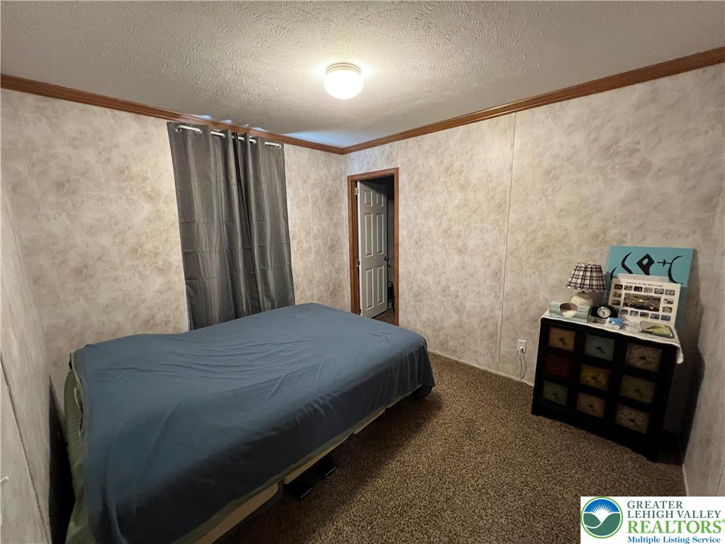 12 Springridge Road Property Photo 18