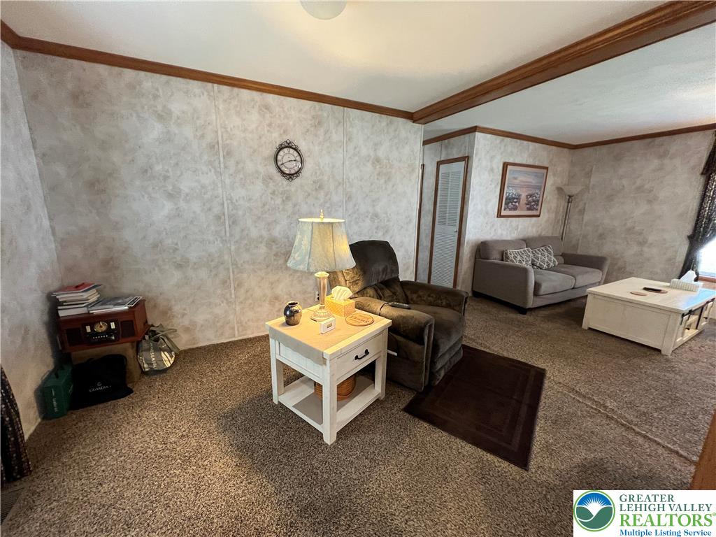 12 Springridge Road Property Photo 23