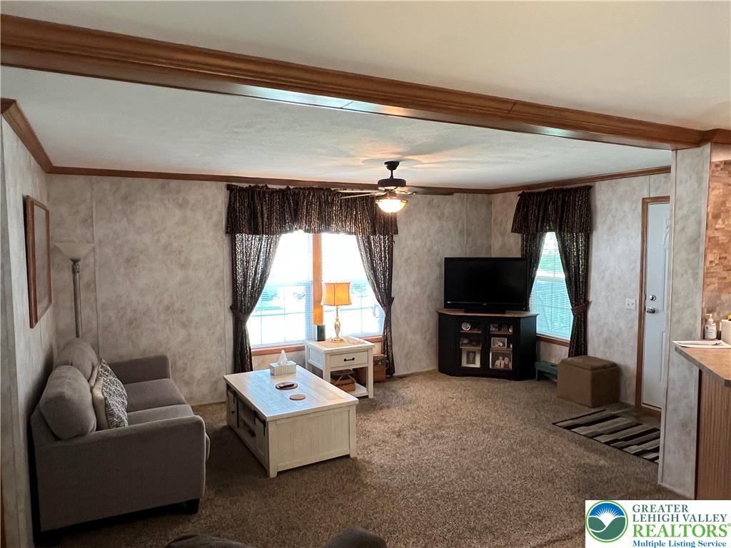 12 Springridge Road Property Photo 24