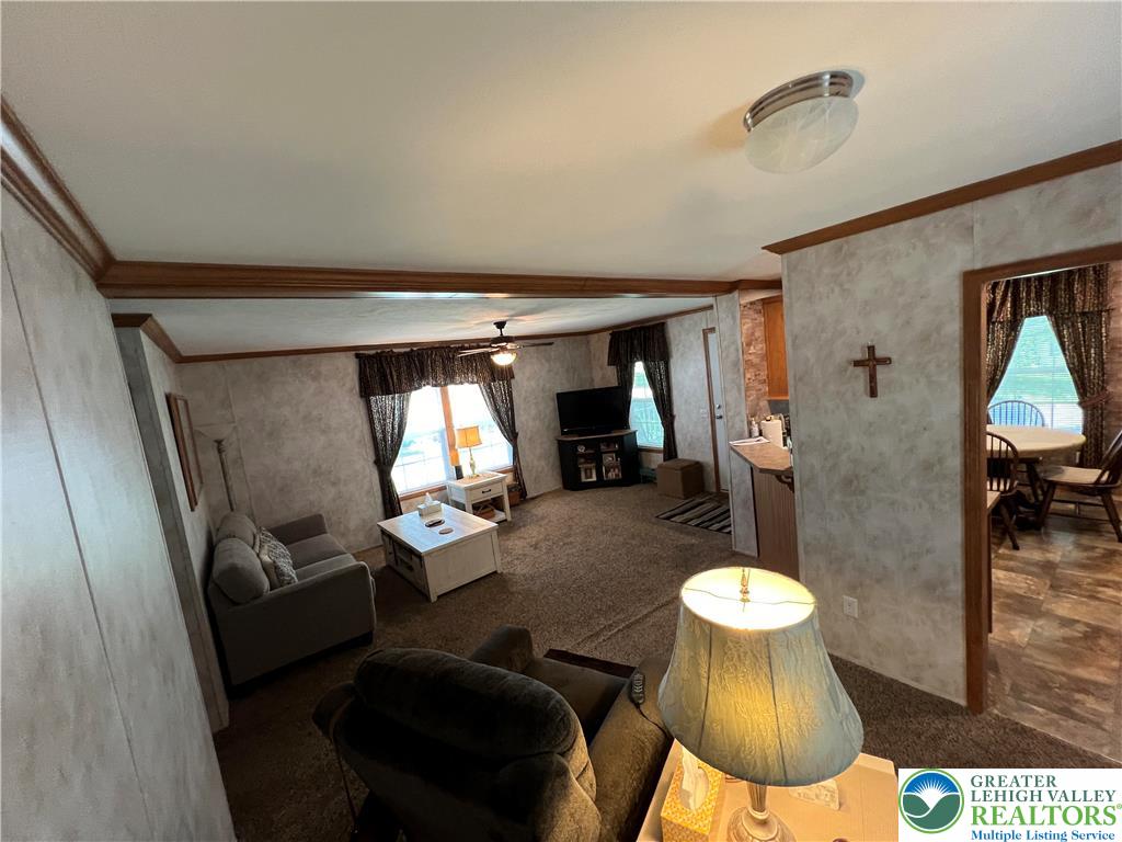 12 Springridge Road Property Photo 25