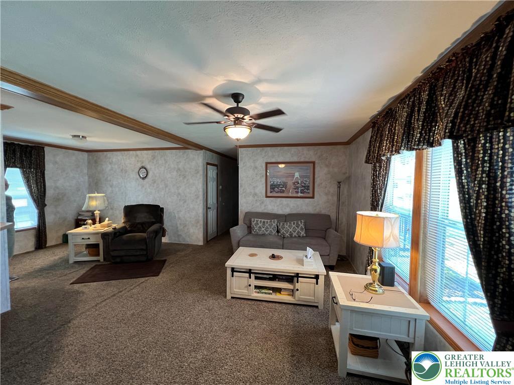 12 Springridge Road Property Photo 26