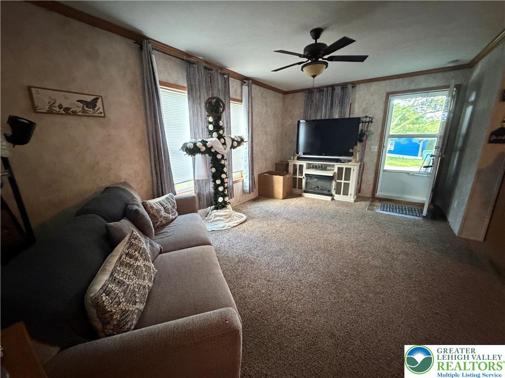 12 Springridge Road Property Photo 44