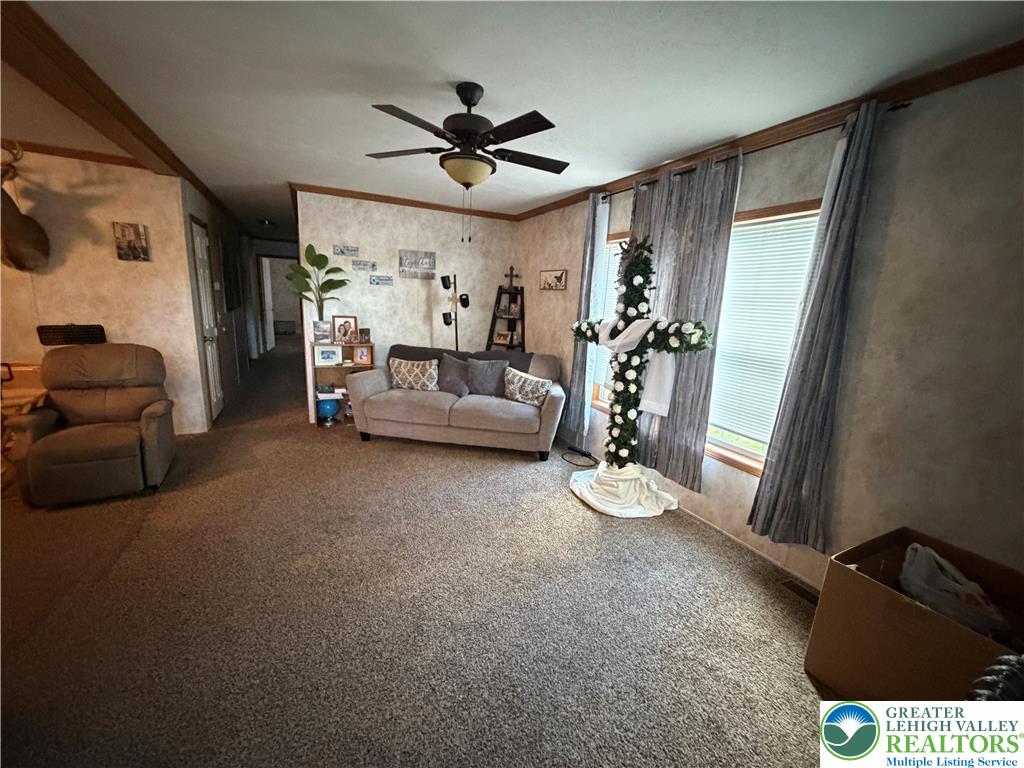 12 Springridge Road Property Photo 45