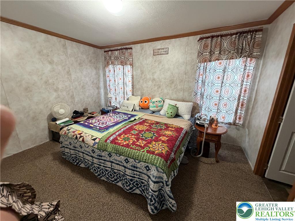 12 Springridge Road Property Photo 48