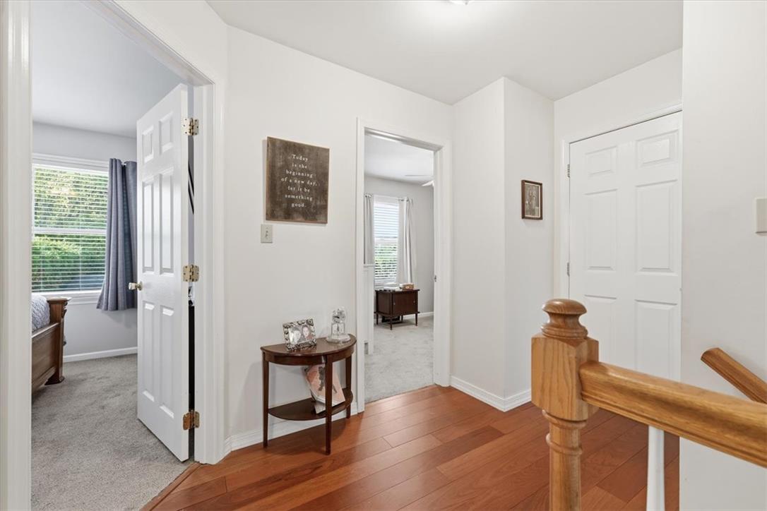252 Shelley Street Property Photo 23
