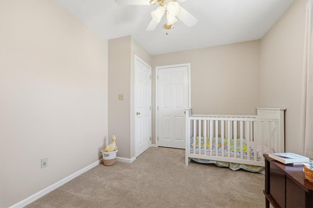 252 Shelley Street Property Photo 29