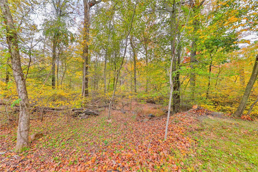 2642 Welshtown Road Property Photo 69