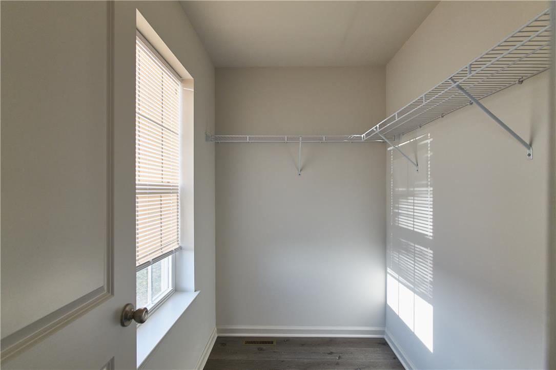 6641 Stein Way Property Photo 21