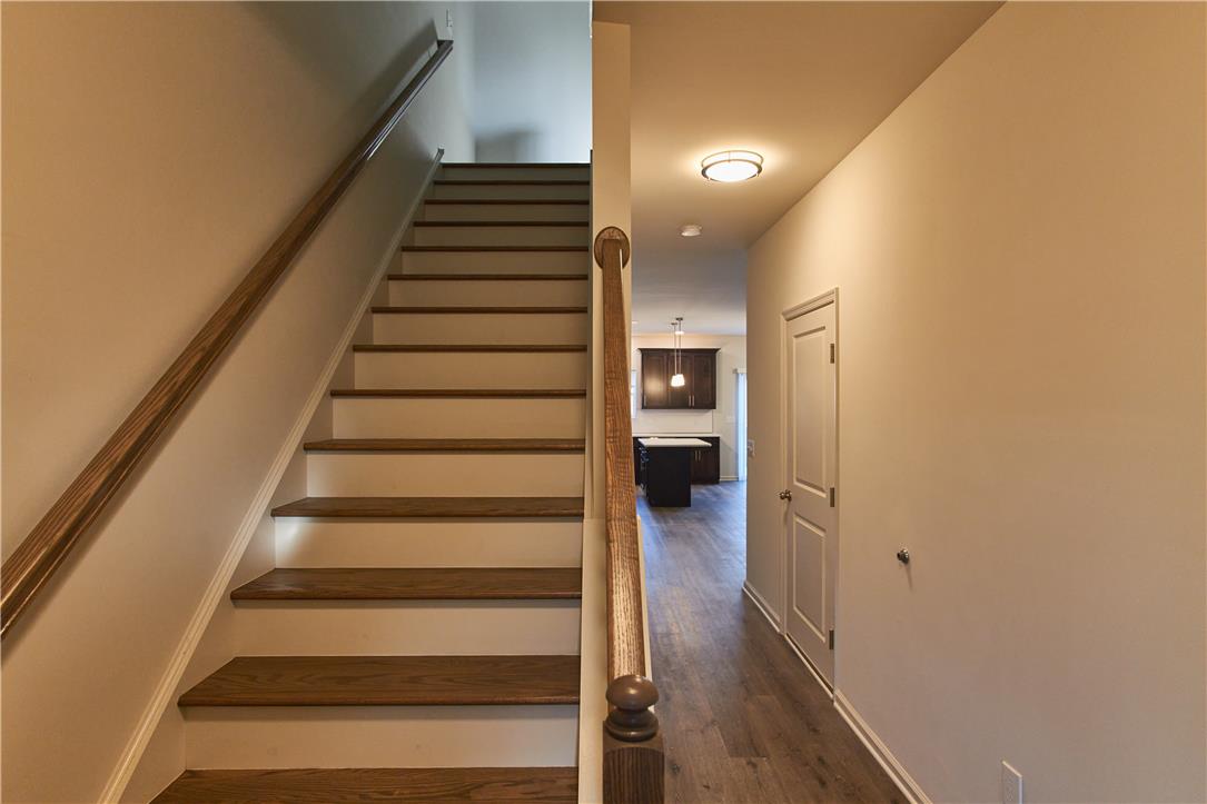 6641 Stein Way Property Photo 28