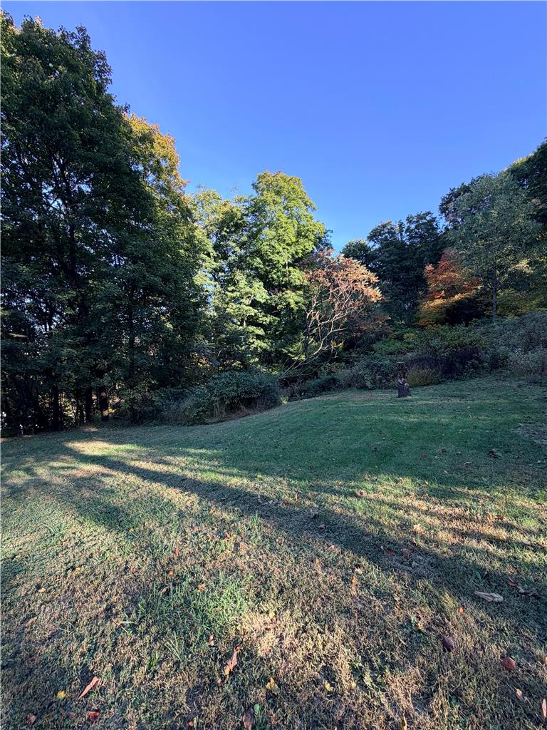 505 Fairview Avenue Property Photo 45