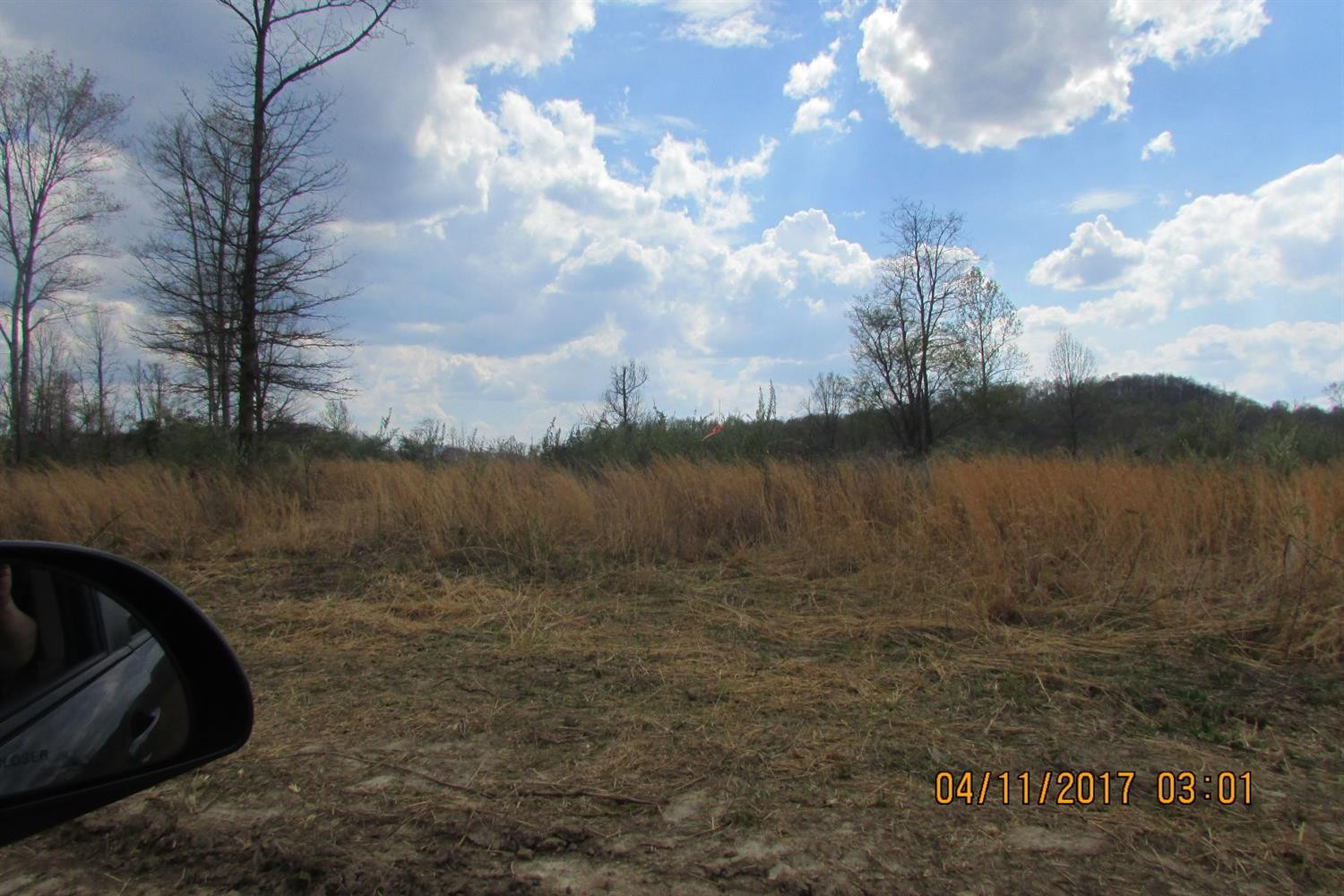 100 Old Stinking Creek Road Property Photo 6